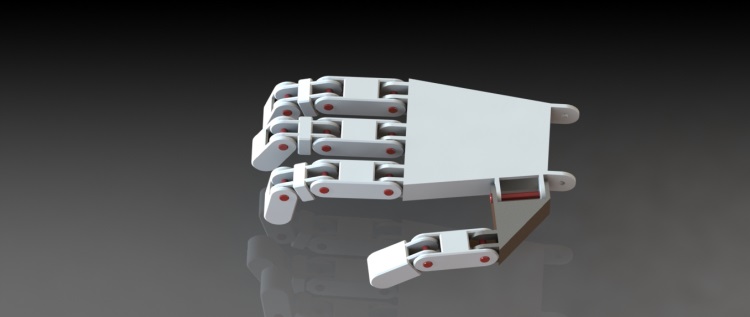 Render_Robot_Eli
